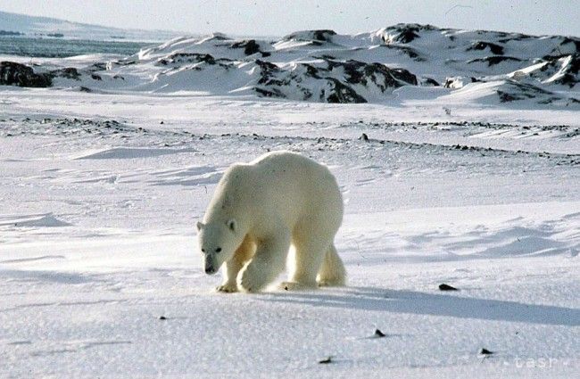 Teploty v okolí Severného pólu sú asi 30 stupňov Celzia nad normálom