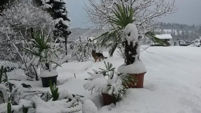 Prvá tohtoročná nedeľa bude prevažne oblačná, teploty ostanú pod nulou