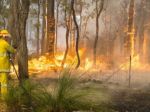 Západnú Austráliu pustoší mohutný lesný požiar Waroona