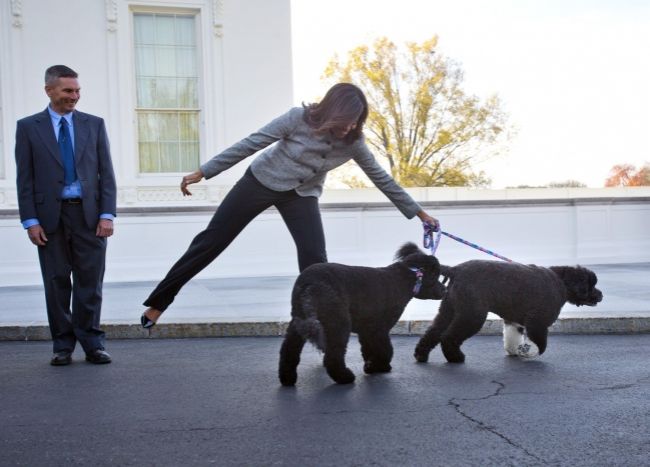 Zadržali muža, ktorý chcel uniesť psa prezidenta Obamu