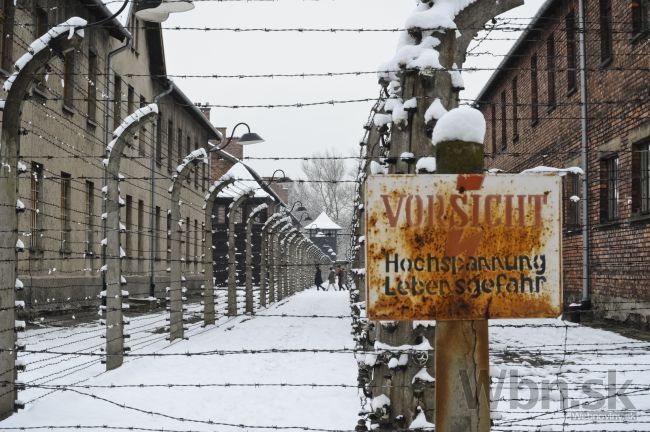 Cestovky zrejme podvodne zarábali na zájazdoch do Auschwitzu