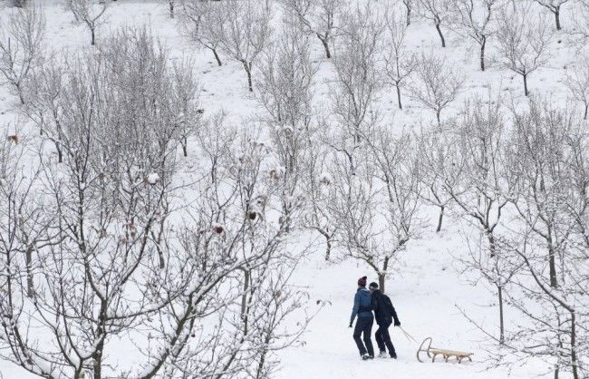 Víkend bude studený. Sobota zamračená, na západe sneženie