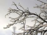 Posledný januárový víkend začne mrholením, zrána aj mrznúcim