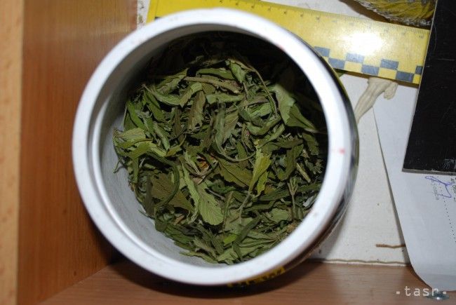 Najzneužívanejšou drogou na Slovensku je marihuana, nasleduje pervitín