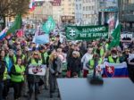 Proti islamistom v Bratislave protestovalo vyše sto ľudí