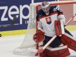 Reprezentácia sa zišla v Žiline bez poltucta hráčov Slovana