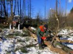 Víchrica v Tatrách polámala približne dvetisíc stromov