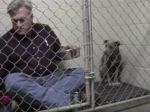 Video: Revolučná terapia pre vystrašeného psíka