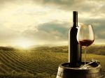 Španiel, ktorý sa dožil 107 rokov, pil domáce červené víno namiesto vody