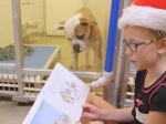 Video: Nádherný projekt, kde deti pomáhajú psíkom v útulku