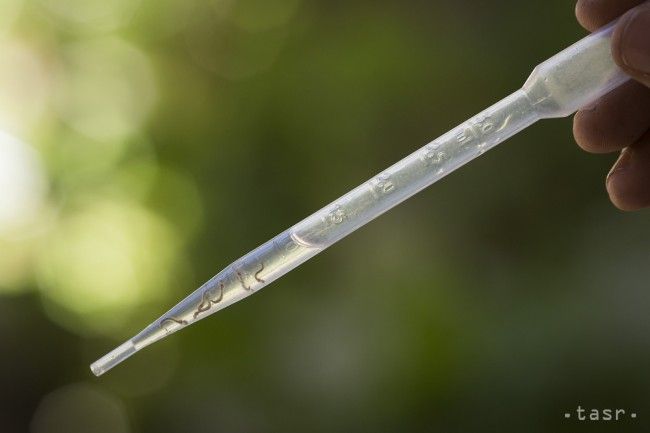 V Česku zaznamenali tretí prípad nakazenia vírusom zika