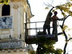 Zlý stav stromov na Františkánskom námestí v Bratislave spôsobil betón
