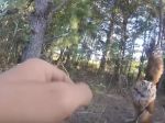 Video: Muž zachránil malú sovičku