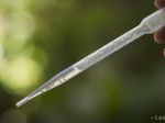 Brazílska vláda venuje na výskum vírusu zika 2,5 milióna eur