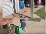 Video: Chlapec dostal mokrú pusu od srnčiatka