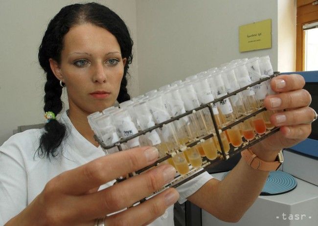 Alergikov v Bratislave potrápi peľ z javorov či topoľov