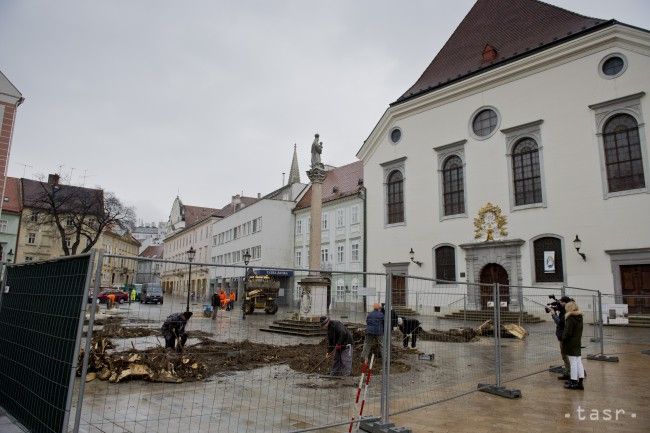 Bratislava: Na Františkánskom námestí začali s výsadbou nových stromov