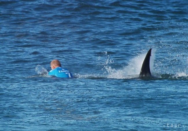 Pri východnom pobreží Austrálie napadol žralok surfistu