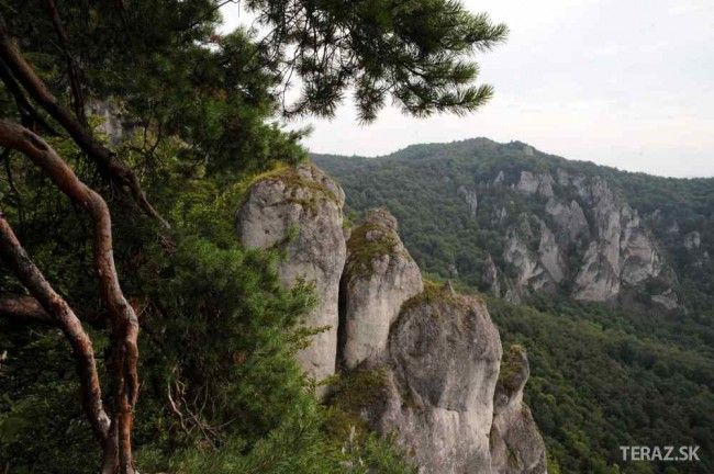 Hasiči zachraňovali muža, ktorý nevedel zliezť zo Súľovských skál