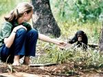 Na Ekotopfilm - Envirofilm 2016 príde žena džungle Jane Goodall
