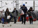 Skupina utečencov, ktorá odišla z Česka, požiadala v Nemecku o azyl