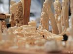 Colníci v Thajsku odhalili kontraband slonoviny za približne 700.000