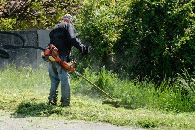 V Prievidzi začali s kosením trávnatých plôch