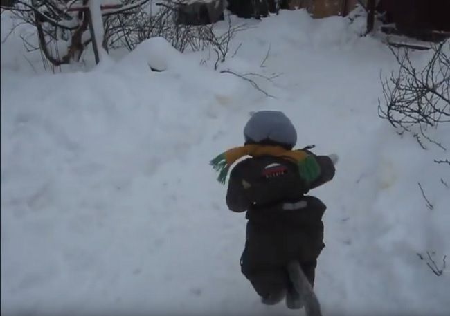 Video: Dieťa s chvostom na zimnej prechádzke