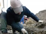 Úspech našich archeológov. V Kuvajte objavili starovekú klimatizáciu