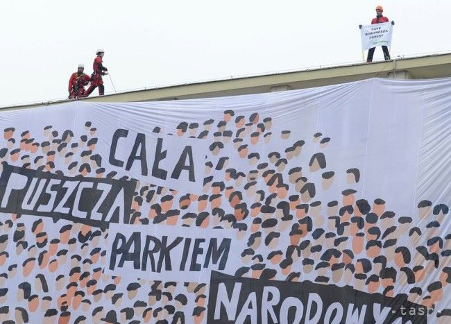 Greenpeace protestovalo. Proti ťažbe dreva v Bielovežskom pralese