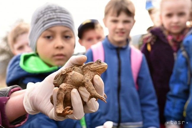 Súťaž EnvirOtázniky vyhrali žiaci zo základných škôl v Sliači a Ľutine