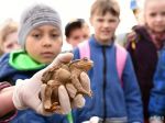 Súťaž EnvirOtázniky vyhrali žiaci zo základných škôl v Sliači a Ľutine