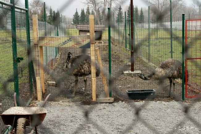 V zoo v Spišskej Novej Vsi pribudli tabuľky pre nevidiacich ľudí