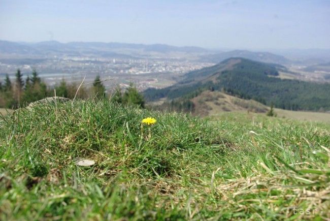 Po slnečnom víkende sa v pondelok ochladí, môže aj pršať