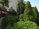 Vzniká prvá komunitná záhrada v Trnave
