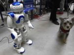 Trenčianske robotické dni popularizujú vedu a techniku medzi mladými