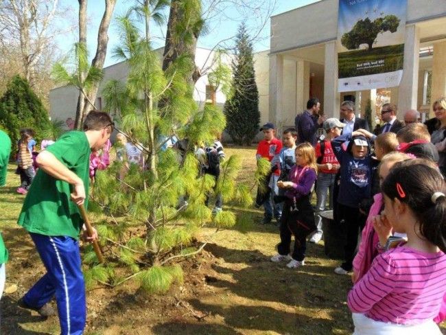 Na Deň Zeme budú v Novom Meste sadiť stromy a čistiť lesopark