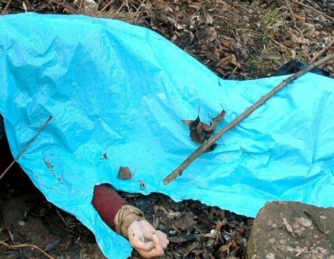 V Rusku zabili zástupcu policajného veliteľa a päť členov jeho rodiny