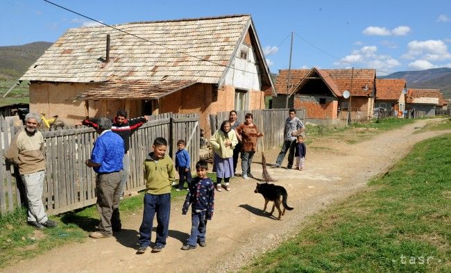 V osadách v okrese Kežmarok sa uskutoční akcia sterilizácie zvierat