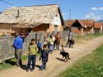 V osadách v okrese Kežmarok sa uskutoční akcia sterilizácie zvierat