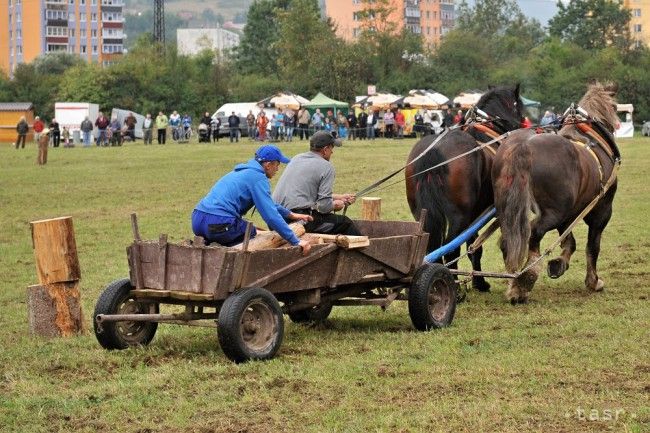 Na furmanských pretekoch sa predstaví desať konských záprahov