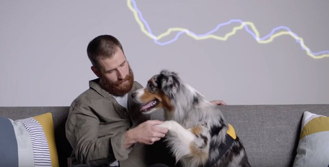 Video: Táto reklama ukazuje nádherný vzťah medzi psíkmi a ich pánmi