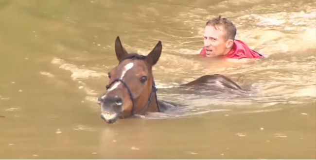 Video: Záchrana koní pred utopením