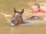 Video: Záchrana koní pred utopením