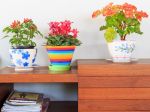 5 zdravotných prínosov kvetov v domácnosti
