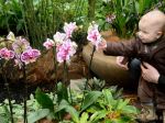 Botanická záhrada v Tatranskej Lomnici otvorí svoje brány