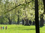 V sobotu bude prevažne polooblačno, na severe prehánky