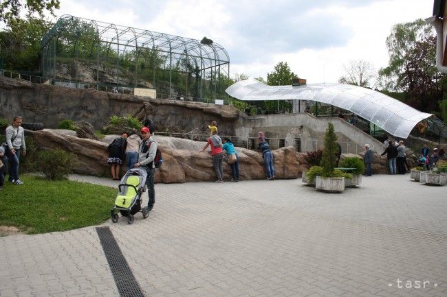 Najstaršia zoo na Slovensku dnes vstúpila do svojej 61. sezóny