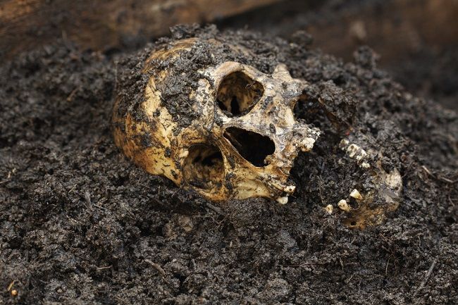 Hubári našli ľudské kosti