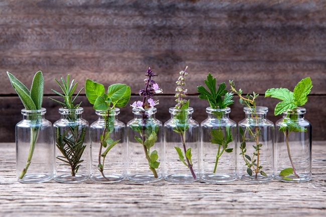 12 najužitočnejších byliniek, ktoré by ste mali začať pestovať už dnes